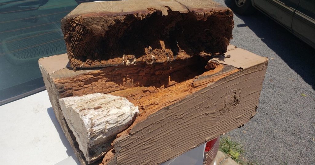 Termite Repair Maui